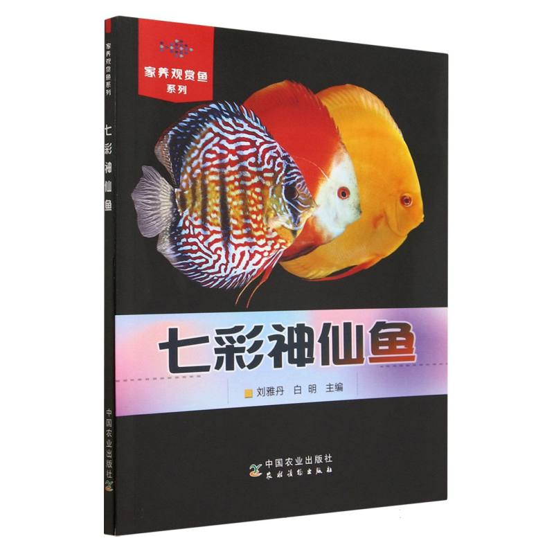 七彩神仙鱼（家养观赏鱼系列）