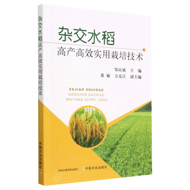 杂交水稻高产高效实用栽培技术