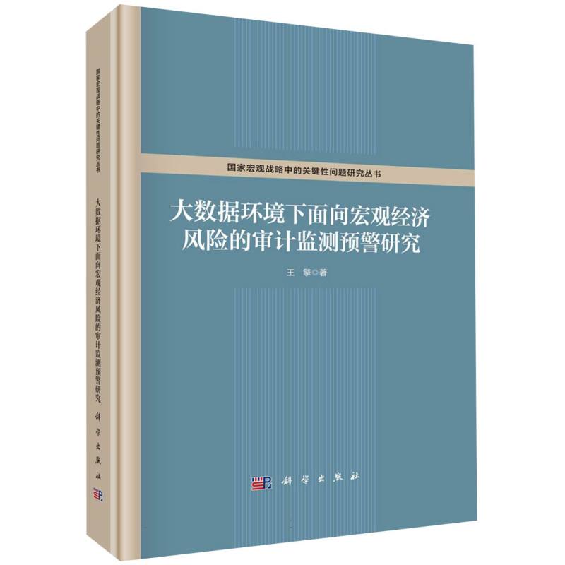 大数据环境下面向宏观经济风险的审计监测预警研究（精）/国家宏观战略中的关键性问题研 