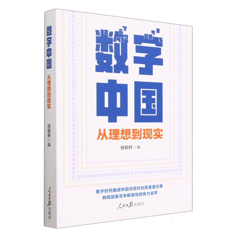 数字中国：从理想到现实