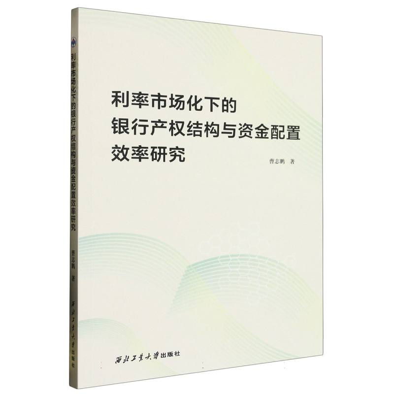 利率市场化下的银行产权结构与资金配置效率研究