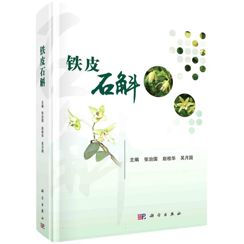 铁皮石斛