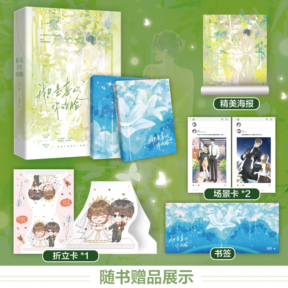 我只是喜欢你的脸·全2册