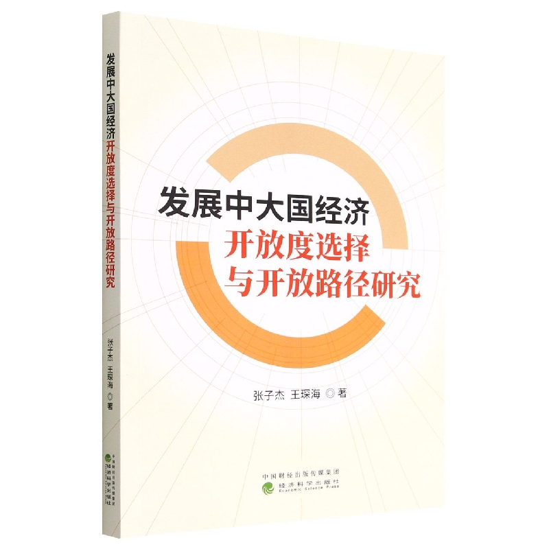 发展中大国经济开放度选择与开放路径研究