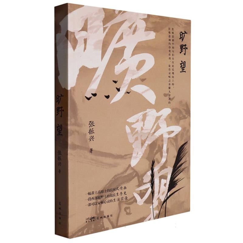 旷野望