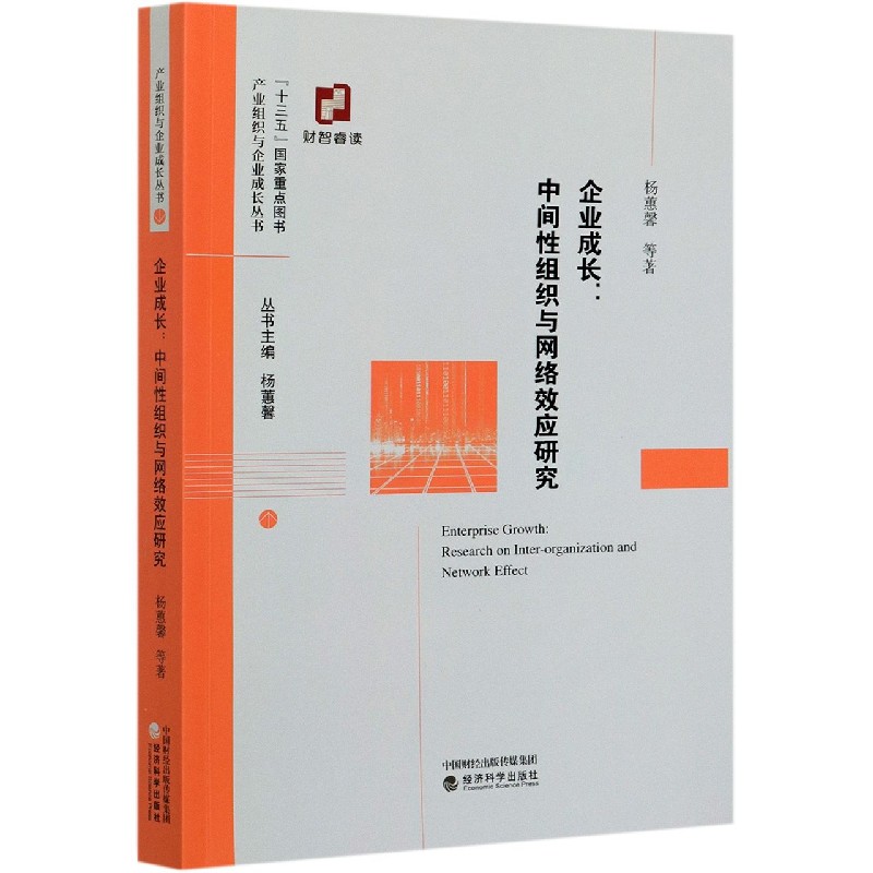 企业成长--中间性组织与网络效应研究/产业组织与企业成长丛书