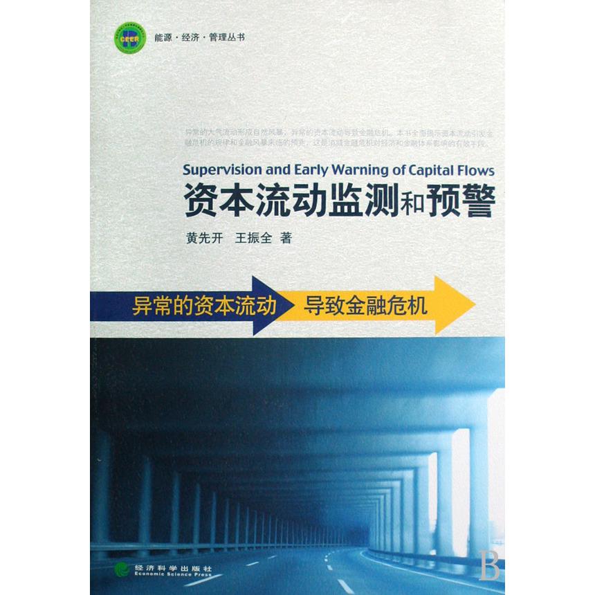 资本流动监测和预警/能源经济管理丛书
