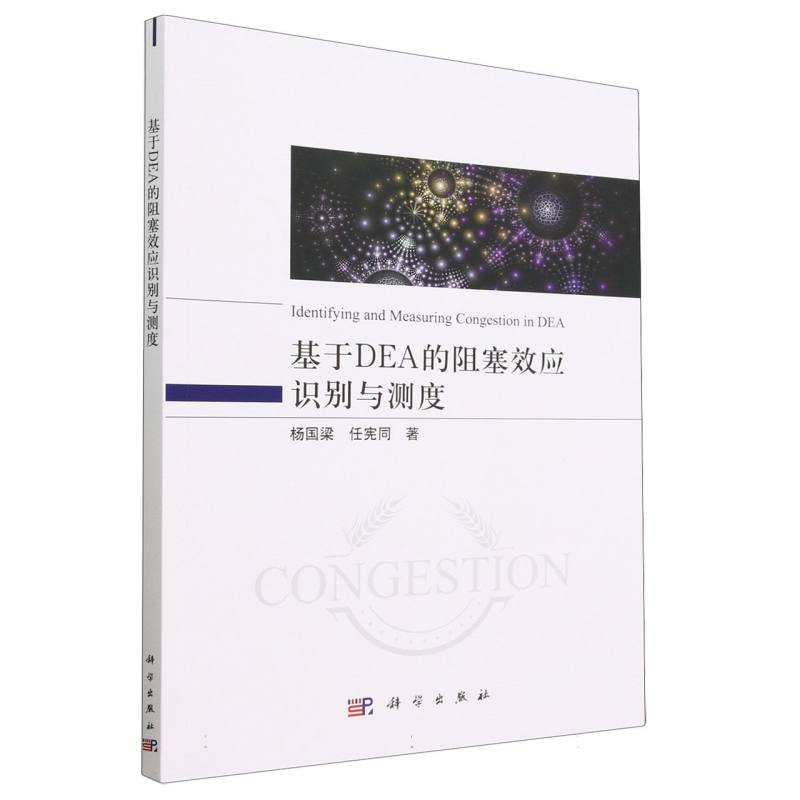 基于DEA的阻塞效应识别与测度