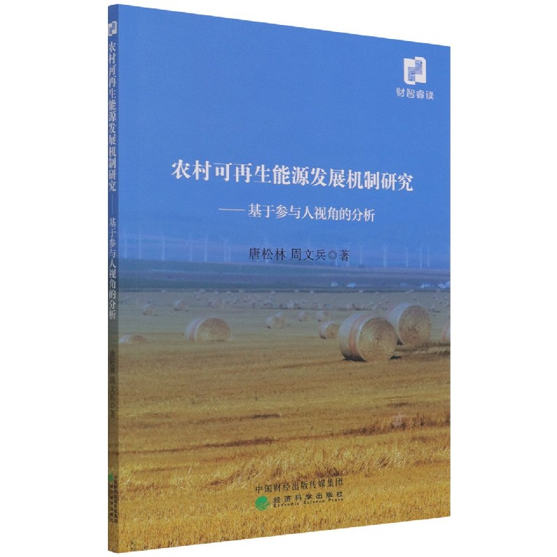 农村可再生能源发展机制研究--基于参与人视角的分析