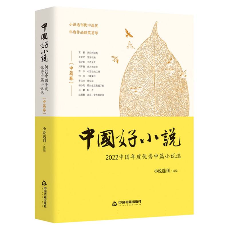 中国好小说·中篇卷:2022 中国年度优秀中篇小说选
