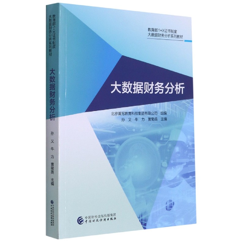 大数据财务分析（1+X证书制度大数据财务分析系列教材）