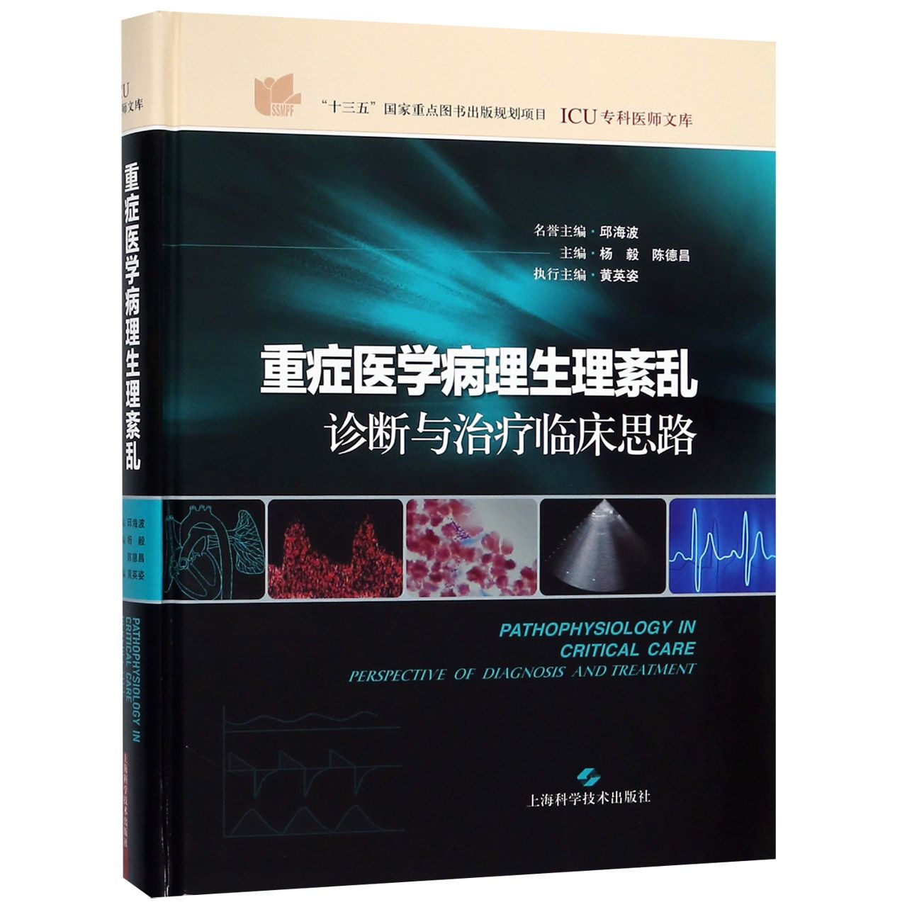 重症医学病理生理紊乱诊断与治疗临床思路（精）/ICU专科医师文库