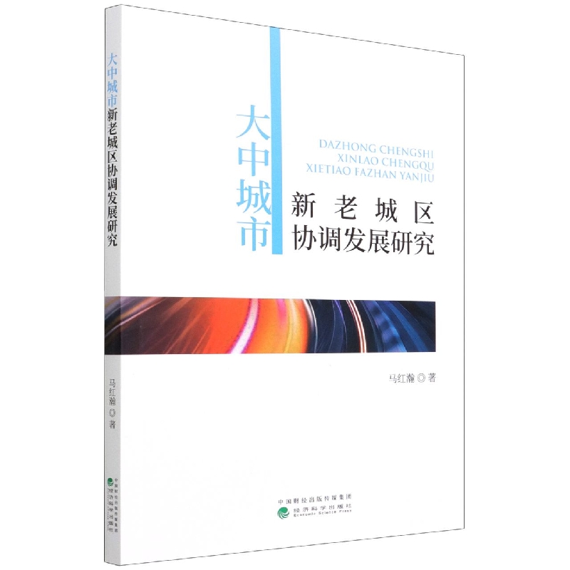大中城市新老城区协调发展研究