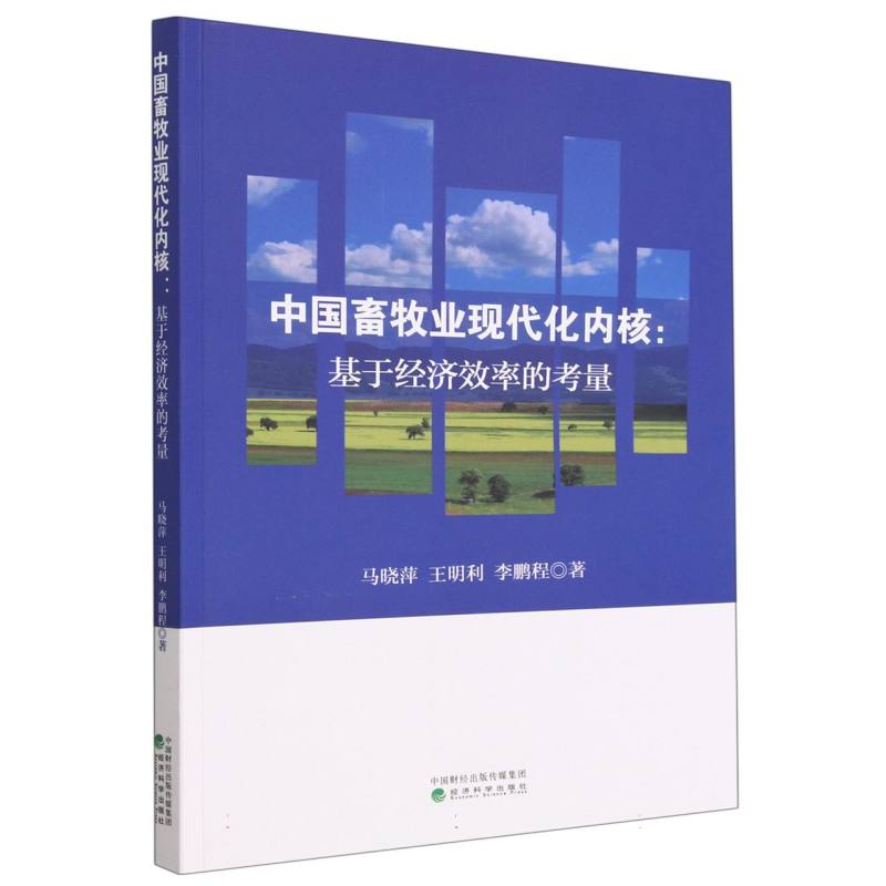 中国畜牧业现代化内核:基于经济效率的考量