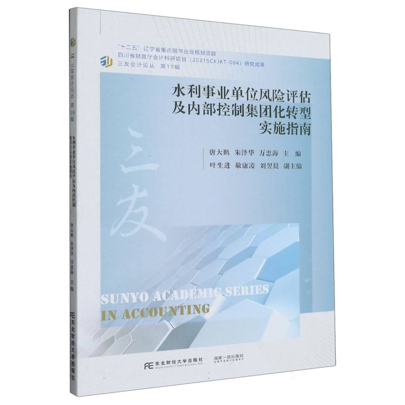 水利事业单位风险评估及内部控制集团化转型实施指南