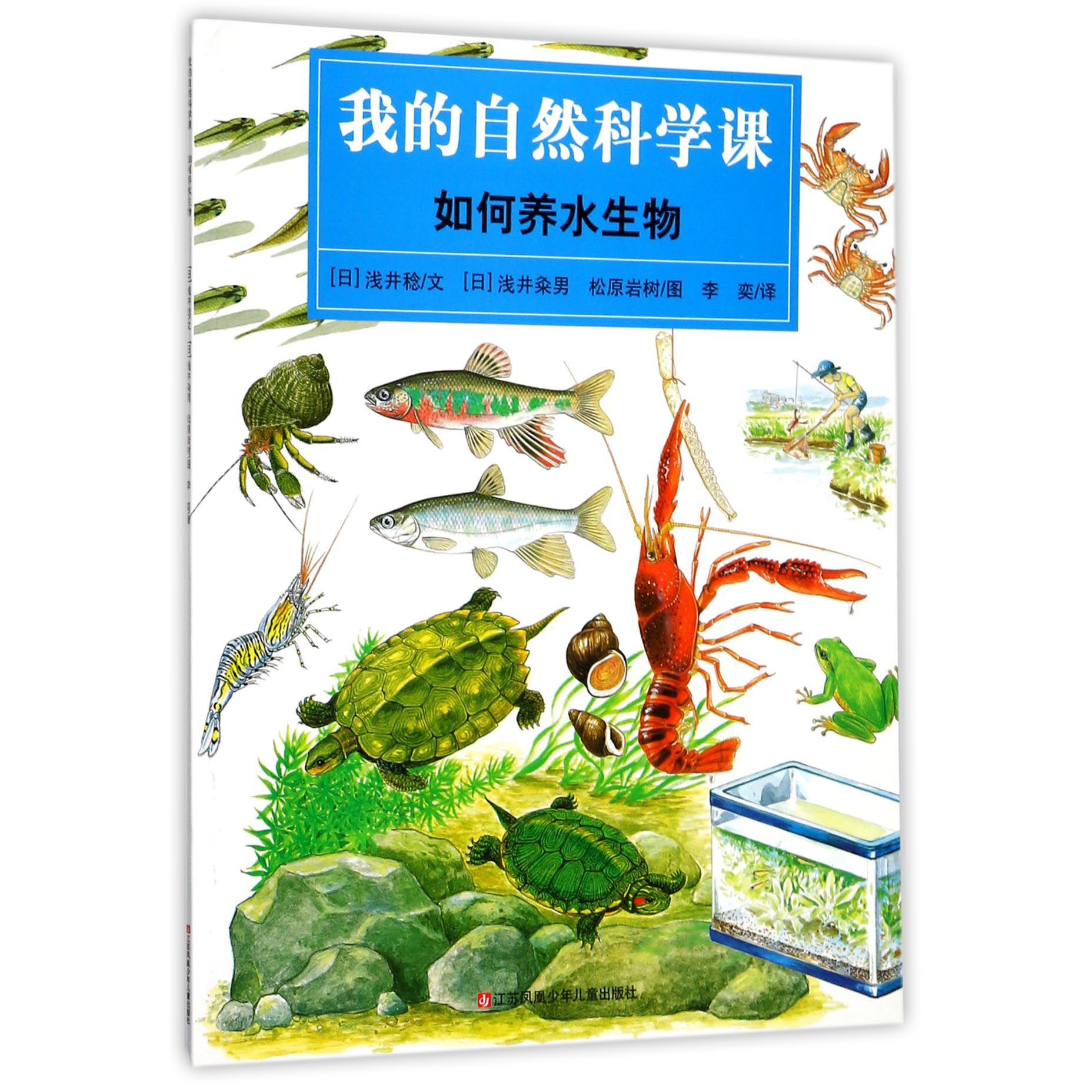 如何养水生物/我的自然科学课