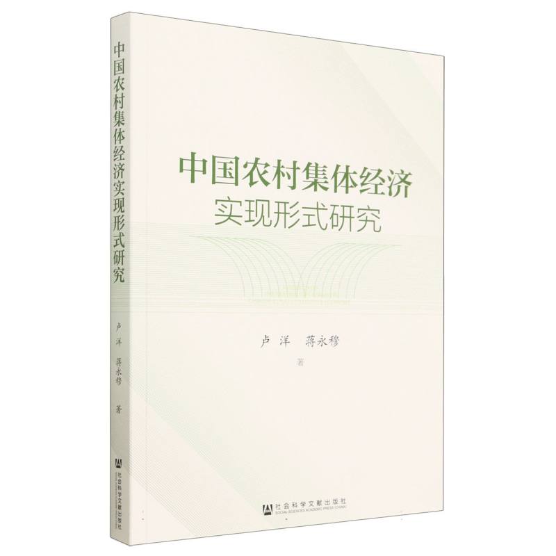 中国农村集体经济实现形式研究