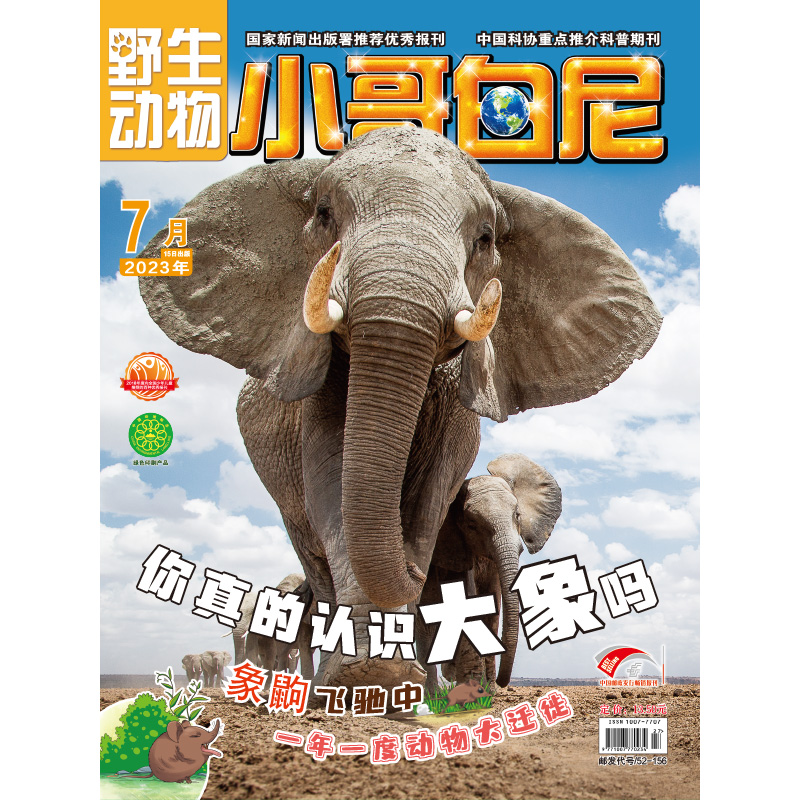 《小哥白尼·野生动物》-2023年7月刊