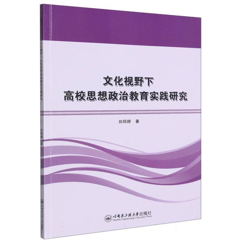 文化视野下高校思想政治教育实践研究