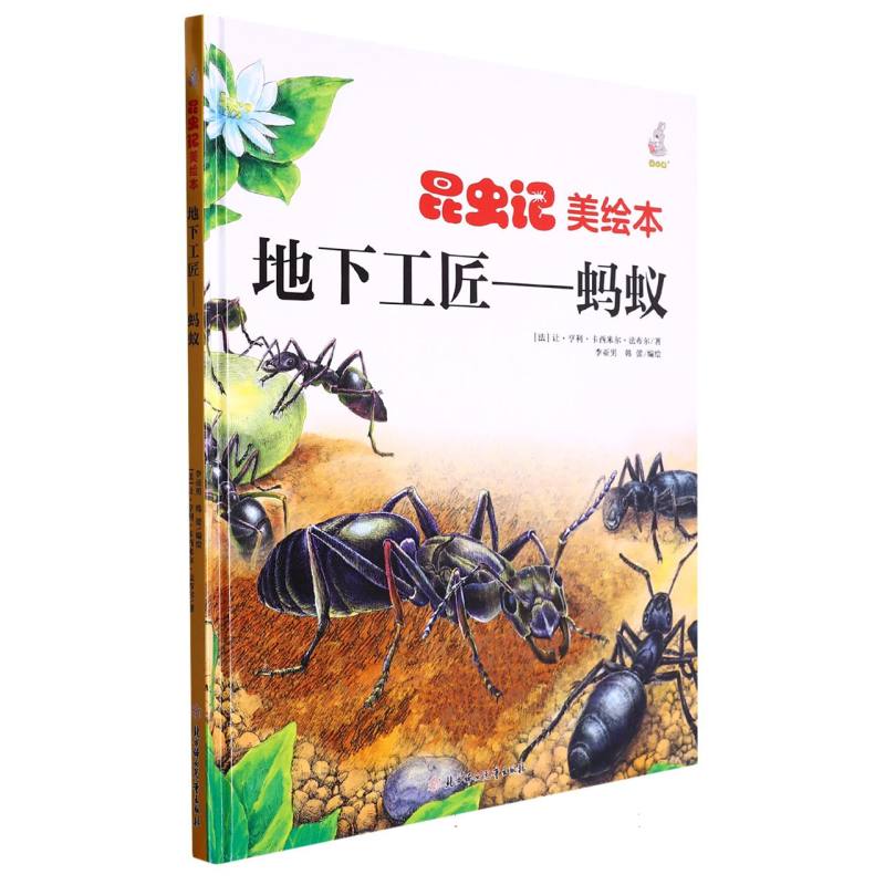 昆虫绘美绘本地下工匠--蚂蚁(精装)