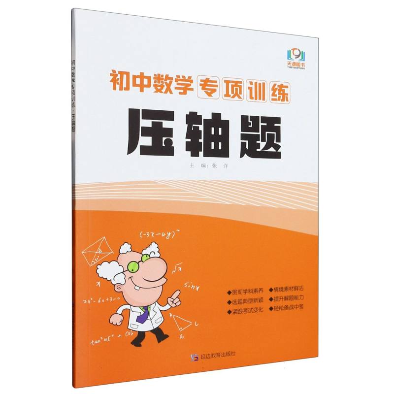 初中数学专项训练.压轴题:RJ