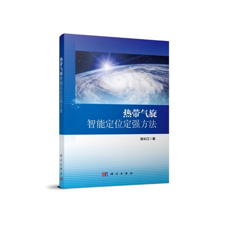 热带气旋智能定位定强方法