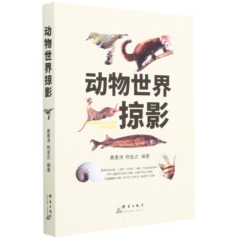 动物世界掠影