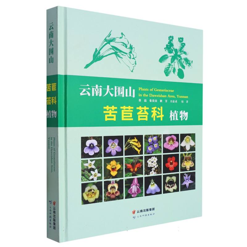 云南大围山苦苣苔科植物