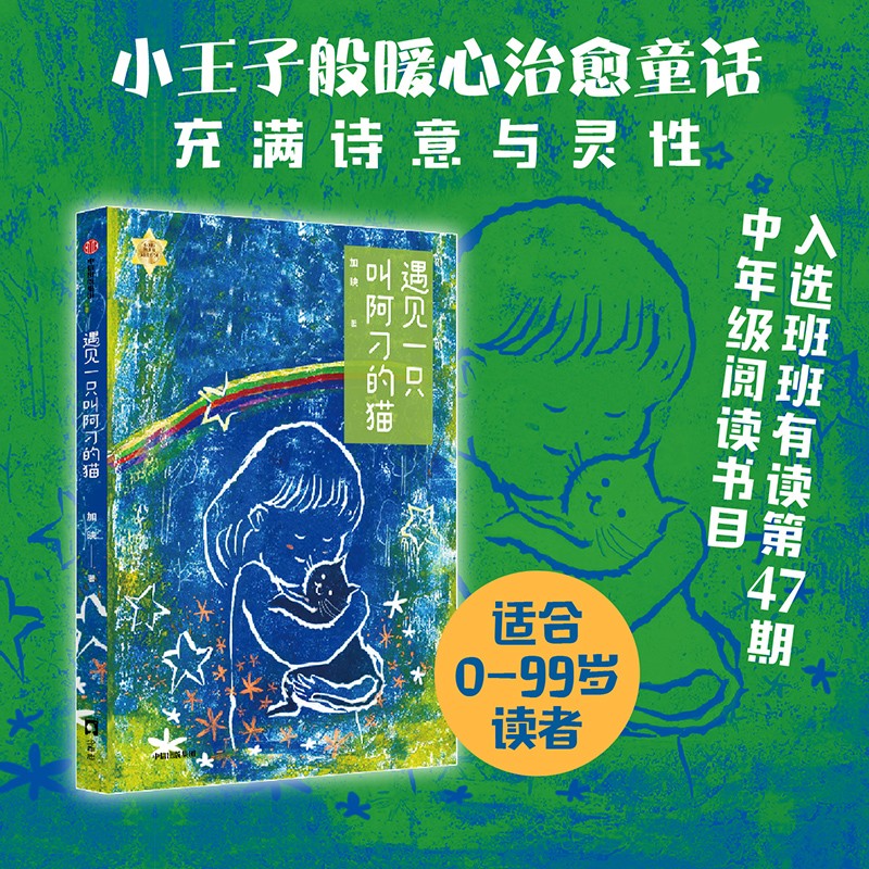 遇见一只叫阿刁的猫