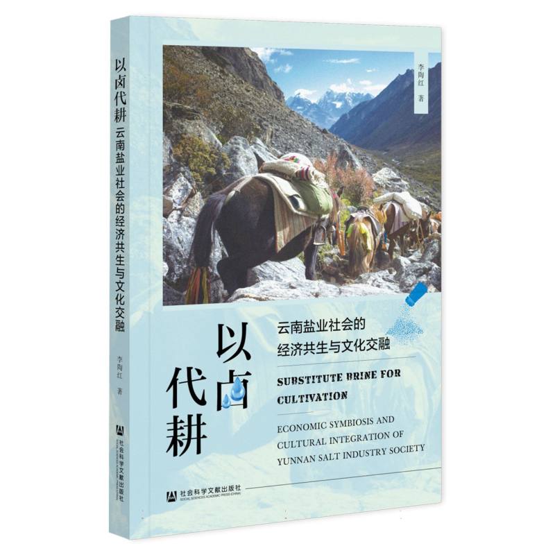 以卤代耕：云南盐业社会的经济共生与文化交融