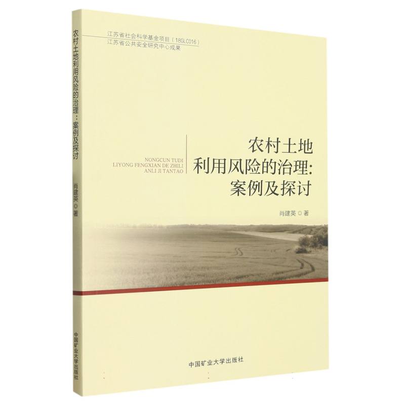 农村土地利用风险的治理：案例及探讨