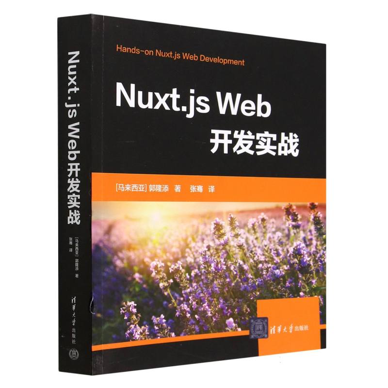 Nuxt.js Web开发实战