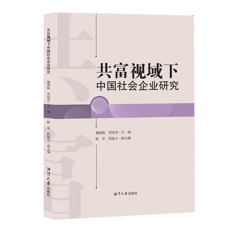 共富视域下中国社会企业研究