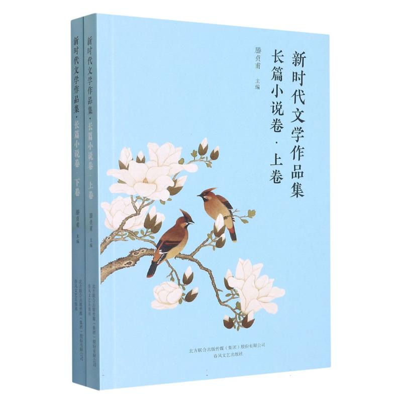 新时代文学作品集（长篇小说卷上下）