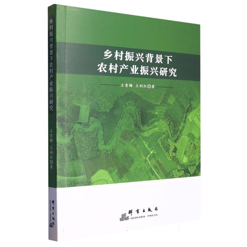 乡村振兴背景下农村产业振兴研究