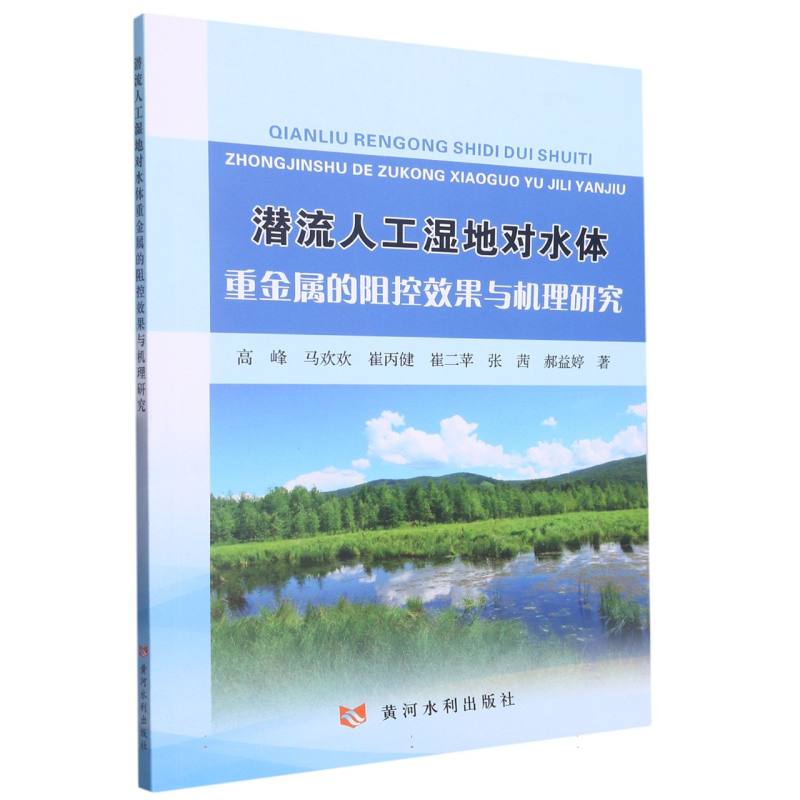 潜流人工湿地对水体重金属的阻控效果与机理研究