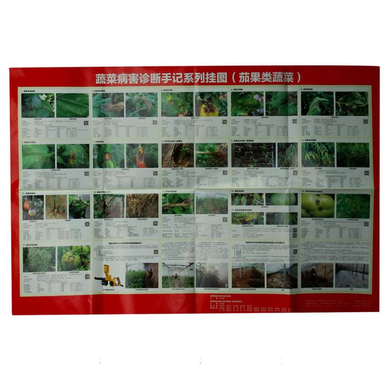 蔬菜病害诊断手记系列挂图（茄果类蔬菜）