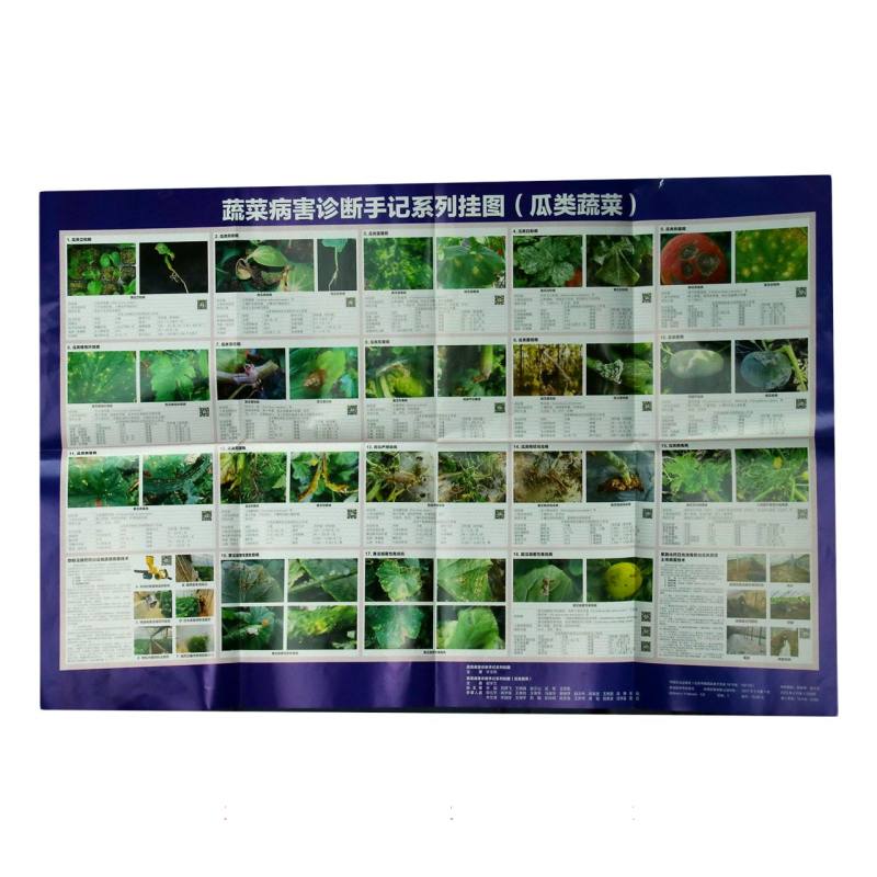 蔬菜病害诊断手记系列挂图（瓜类蔬菜）