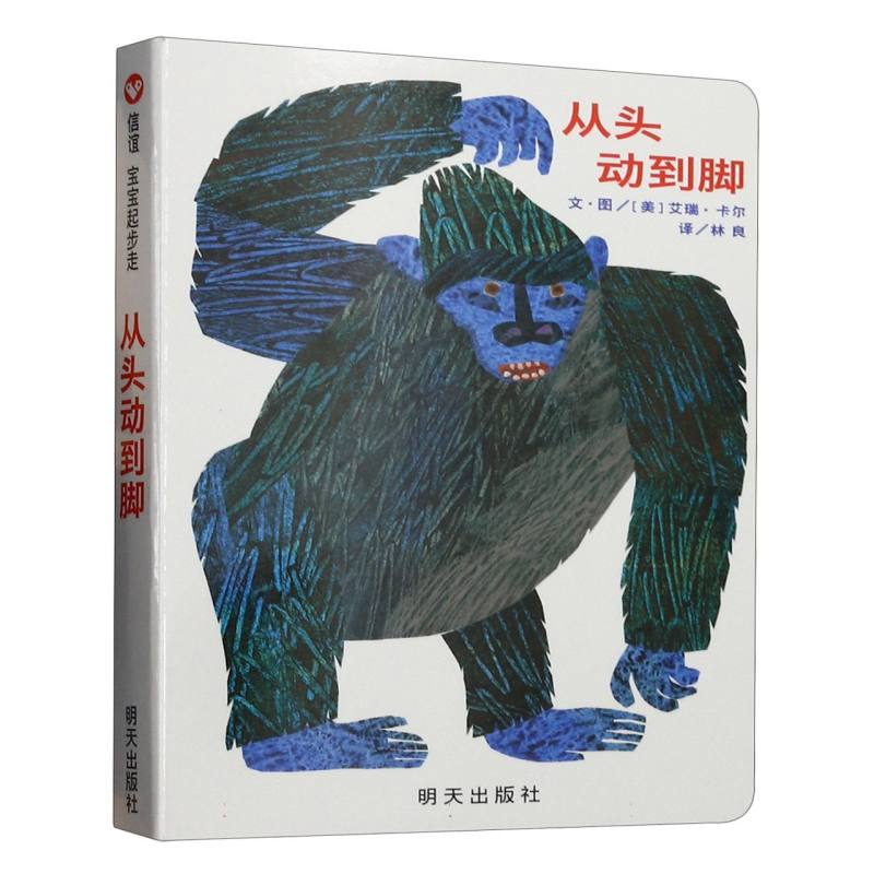 从头动到脚