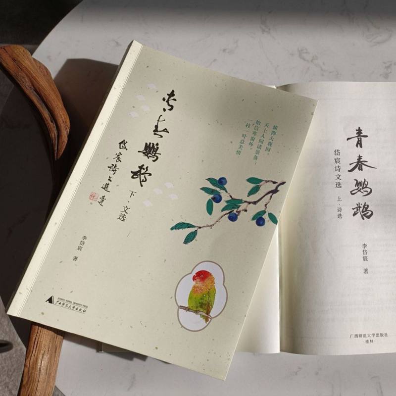 青春鹦鹉：岱宸诗文选（全2册）