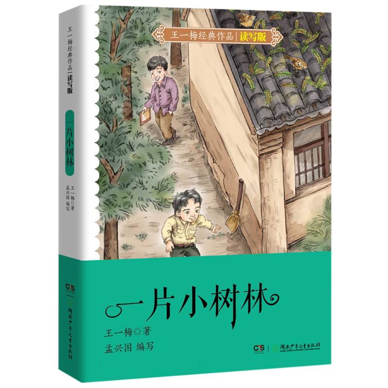 王一梅经典作品读写版·一片小树林