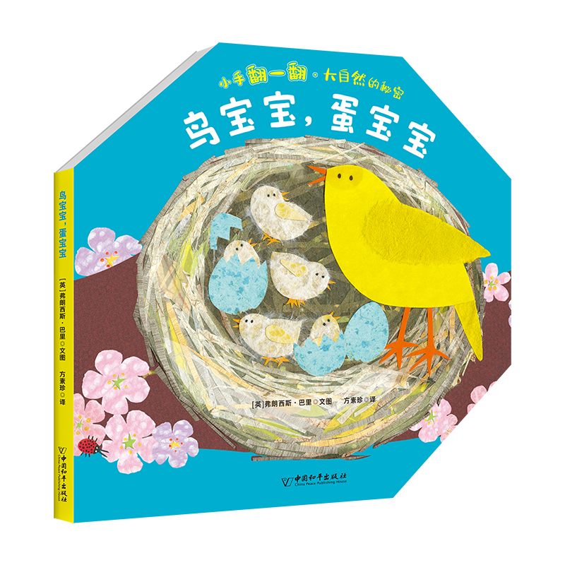 小手翻一翻·大自然的秘密  鸟宝宝蛋宝宝