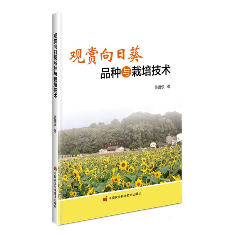 观赏向日葵品种与栽培技术
