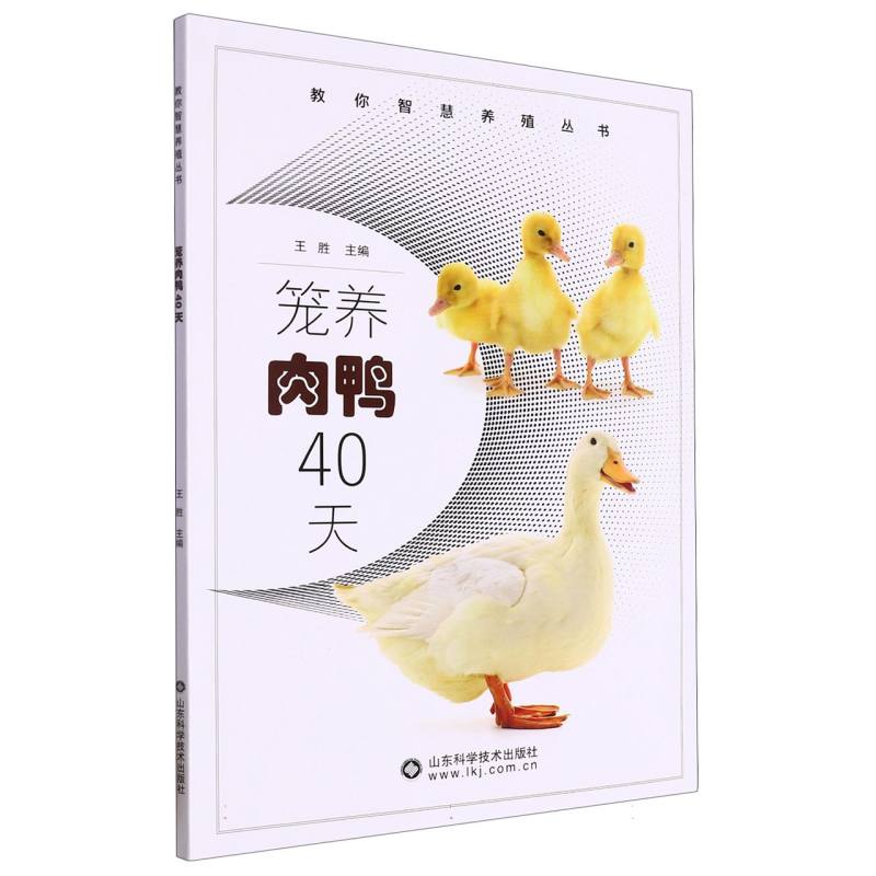 笼养肉鸭40天