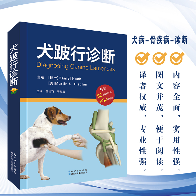 犬跛行诊断