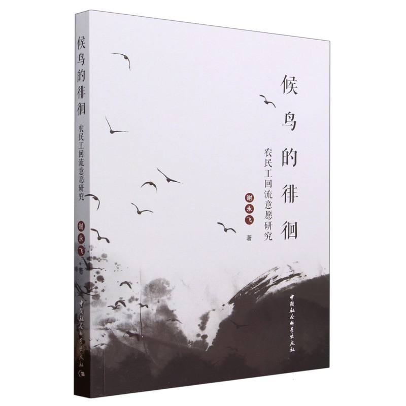 候鸟的徘徊（农民工回流意愿研究）