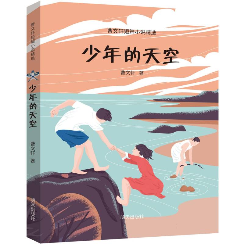 曹文轩短篇小说精选——少年的天空