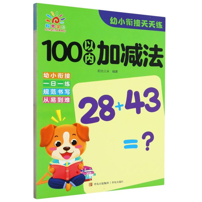 100以内加减法/幼小衔接天天练