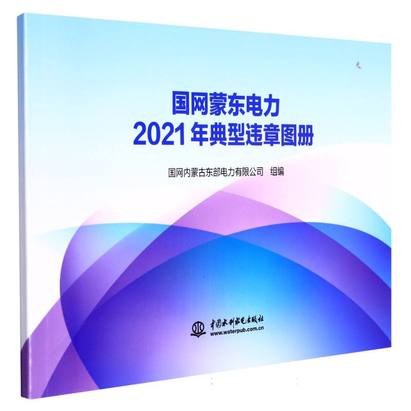 国网蒙东电力2021年典型违章图册