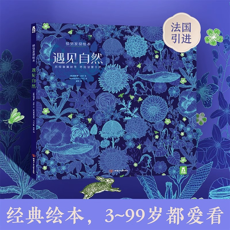 遇见自然(精)/视觉发现绘本
